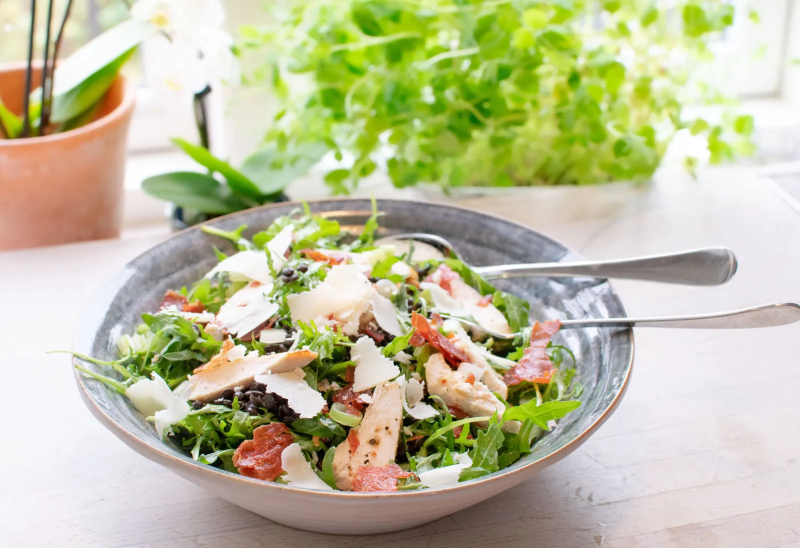 Salat med kylling og belugalinser