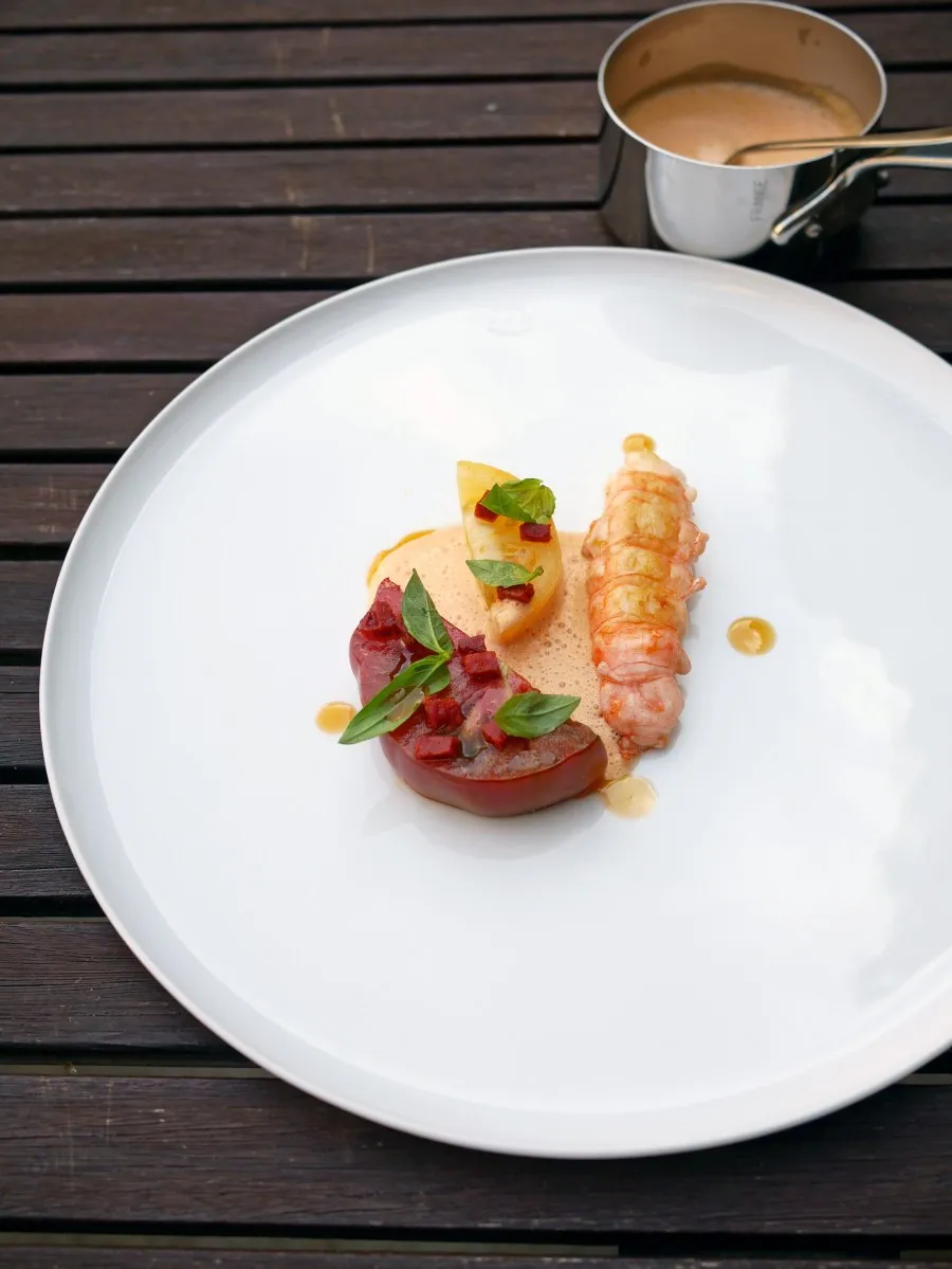 Jomfruhummer med tomat og chorizo