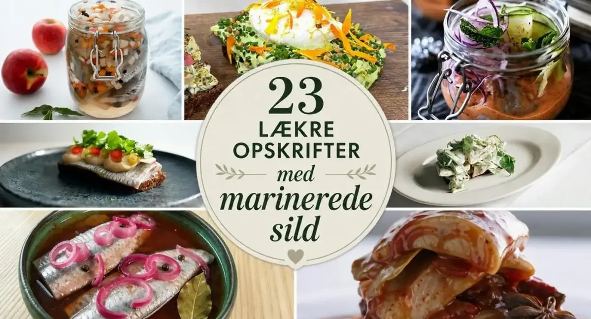 23 lækre opskrifter med marinerede sild