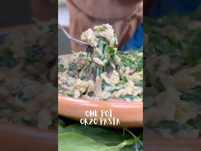 Orzo gryde med svampe