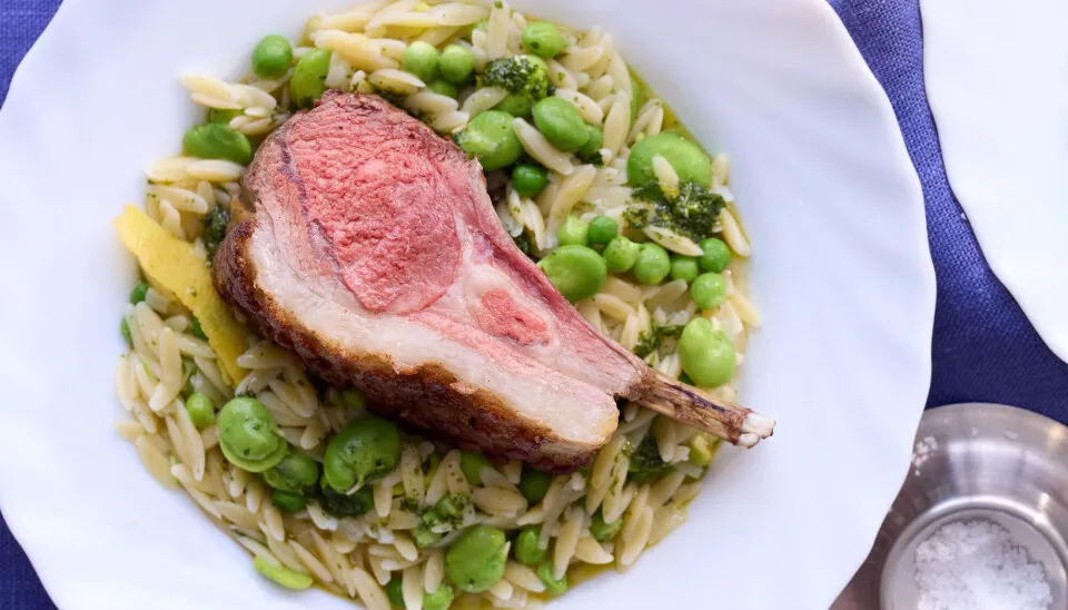 Lammekrone med orzo, cremede hestebønner og friske ærter